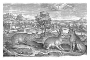 dieren in de Woud, adriaen collaert, 1595 - 1599 foto