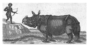 de neushoorn klara, 1747 foto