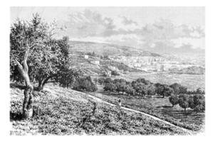 stad van Nazareth in Israël, wijnoogst gravure foto