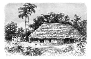 typisch woning in de stad- van cuembi in amazones, Brazilië, wijnoogst gravure foto