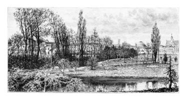 botanisch tuin van Brussel, wijnoogst gravure foto