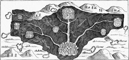 vorming van heet veren, wijnoogst gravure. foto