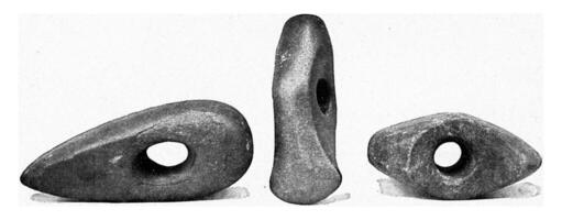 vuursteen assen van de recent steen leeftijd, wijnoogst gravure. foto