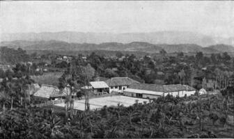 koffie plantages in de rotsachtig tropisch regio van alta verapaz, wijnoogst gravure. foto