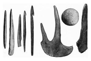 prehistorisch visvangst apparatuur, wijnoogst gravure. foto