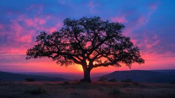 ai gegenereerd vastleggen de rustig essence van een nationaal park met een kleurrijk zonsondergang en artistiek boom silhouet. foto