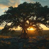 ai gegenereerd silhouet van een persoon aan het doen boom yoga houding Bij zonsopkomst, vredig natuur instelling, bevorderen welzijn en boom meditatie. foto