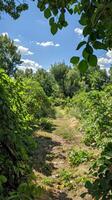 ai gegenereerd fruit lager bomen in een gemeenschap boomgaard Scherm overvloedig verscheidenheid Aan een zonnig dag, bevorderen lokaal voedsel sourcen. foto