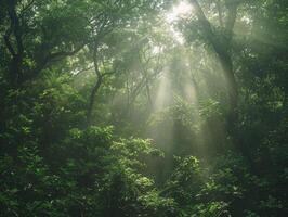 ai gegenereerd trekking door de regenwoud, de dicht groen luifel staat toe zonlicht naar filter door de bladeren foto