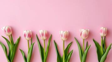 ai gegenereerd zes licht roze tulpen Aan een pastel roze achtergrond met ruimte voor tekst. foto