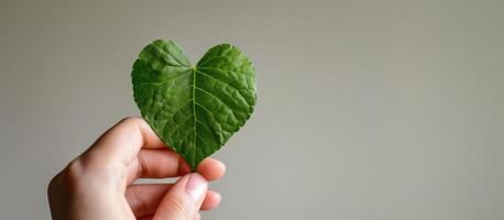 ai gegenereerd generatief ai, hand- Holding groen hart vorm blad, hernieuwbaar en duurzame middelen concept foto