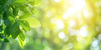 ai gegenereerd mooi natuur visie van groen blad Aan wazig groen achtergrond in tuin en zonlicht met kopiëren ruimte foto