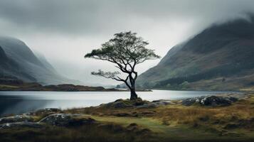 ai gegenereerd eenzaam boom en een ruig berg backdrop een humeurig visie foto