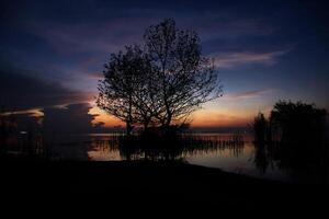 silhouet boom in de meer met zonsopkomst lucht foto