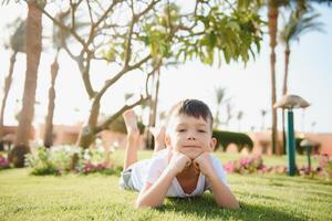 schattig weinig jongen aan het liegen Aan een groen gazon foto