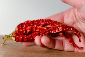 droog rood Chili peper, veel een uitkering, stimuleert de eetlust en bloed circulatie, verlicht spier pijn, antibacterieel, paprika annuum foto