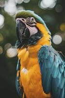 ai gegenereerd levendig gevederte, een detailopname van een papegaai gevangen genomen in een helder en kleurrijk foto, presentatie van haar voortreffelijk veren en stralend schoonheid. foto