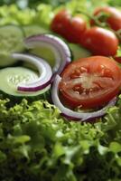 ai gegenereerd macro visie van salade met komkommer, tomaat, ui en groen salade foto