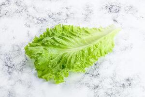 rijp groen salade sla blad foto
