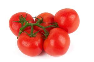 tomaten Aan wit foto