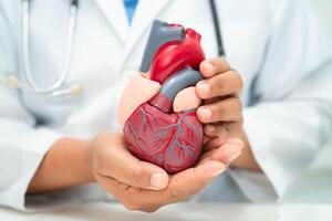 cardiovasculair ziekte cvd, Aziatisch dokter Holding menselijk anatomie model- voor leren en traktatie hart ziekte. foto
