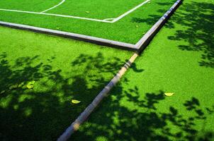 schaduw van boom en vallen blad Aan de kunstmatig gras Amerikaans voetbal veld- foto