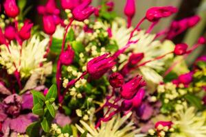 boeket van mooi hoor kleurrijk bloemen in de tuin foto