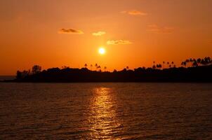 mooi zonsondergang tropisch strand met palm boom en oranje lucht voor reizen en vakantie in vakantie kom tot rust tijd. foto