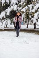 mooi jong vrouw in winter park, rood haren meisje in de park in winter foto