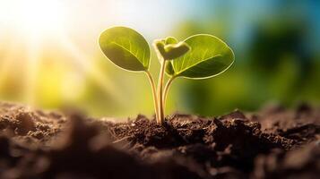 ai gegenereerd nieuw begin jong spruit genieten in de zon warm gloed. gemaakt met generatief ai foto