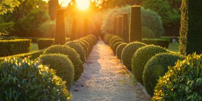 ai gegenereerd zonsondergang gloed over- een formeel tuin traject foto