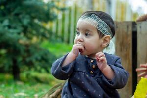 de weinig kind spelen in de park met fruit, weinig meisje in de herfst park foto