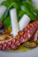 gegrild Octopus met groenten Aan een wit bord, detailopname foto
