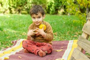 de weinig kind spelen in de park met fruit, weinig meisje in de herfst park foto