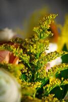 dichtbij omhoog van fabriek met geel bloemen foto