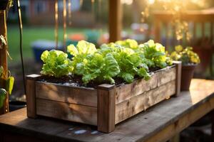 ai gegenereerd een houten planter met sla groeit in het Aan de dek foto