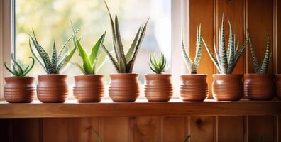 ai gegenereerd aloë planten in een pot Aan een houten plank foto