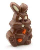 Pasen chocola konijn foto