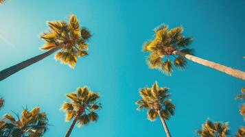 ai gegenereerd een minimalistische samenstelling van hoog palm bomen tegen een helder blauw lucht, creëren een opvallend foto
