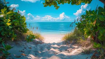 ai gegenereerd zanderig pad leidend naar de strand, met weelderig groen Aan of kant en een Doorzichtig blauw lucht bovenstaand foto