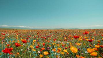 ai gegenereerd een minimalistische schot van een levendig bloem veld, met kleurrijk bloei uitrekken naar de horizon foto