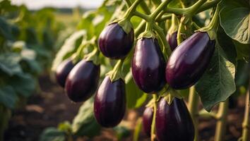 ai gegenereerd rijp aubergine de tuin buitenshuis foto