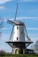 windmolen de koe ,veer, Zeeland, Nederland foto