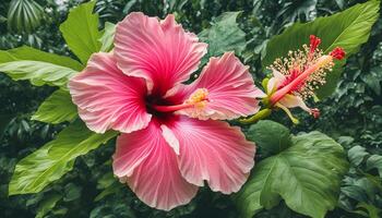 ai gegenereerd een roze bloem met groen bladeren in de achtergrond foto