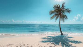 ai gegenereerd zanderig strand, met Doorzichtig blauw luchten, sprankelend water, en een single palm boom gieten een schaduw foto