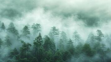 ai gegenereerd een minimalistische fotograaf van een nevelig Woud, met hoog bomen vervagen in de mist en een zacht foto