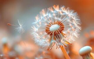 ai gegenereerd paardebloem pluis afdrijven in wind tegen zacht gloeiend achtergrond foto