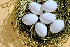 boerderij natuurlijk wit eieren in een nest van gras. foto