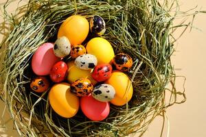 Pasen eieren in roze, geel en oranje kleuren in een nest van gras. foto
