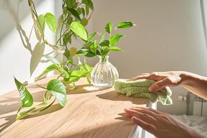 een vrouw hand- doekjes de borst van laden met een zacht pluche groen vod. foto